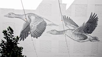 Mixed media mural by olivia knapp